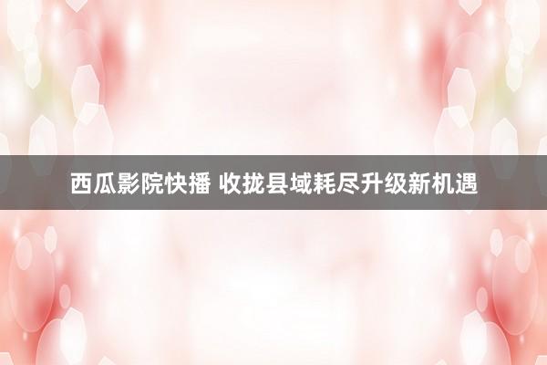 西瓜影院快播 收拢县域耗尽升级新机遇