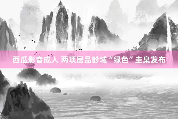 西瓜影音成人 两项居品畛域“绿色”圭臬发布