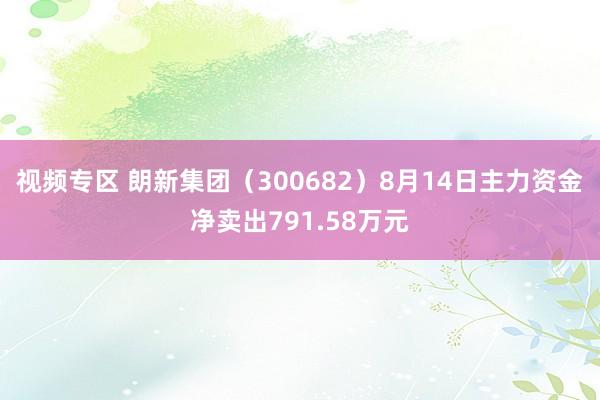 视频专区 朗新集团（300682）8月14日主力资金净卖出791.58万元