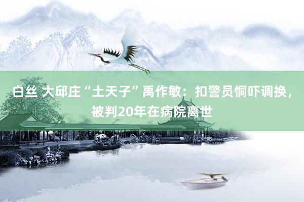 白丝 大邱庄“土天子”禹作敏：扣警员恫吓调换，被判20年在病院离世