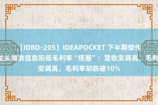 【IDBD-205】IDEAPOCKET 下半期傑作集2009 算力龙头海浪信息陷低毛利率“怪圈”：