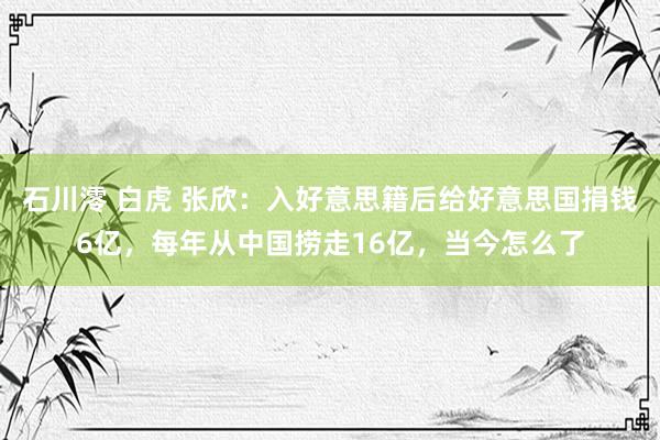 石川澪 白虎 张欣：入好意思籍后给好意思国捐钱6亿，每年从中国捞走16亿，当今怎么了