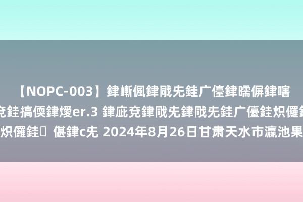 【NOPC-003】銉嶃偑銉戙兂銈广儓銉曘偋銉嗐偅銉冦偡銉ャ儫銉ャ兗銈搞偄銉燰er.3 銉庛兗銉戙兂
