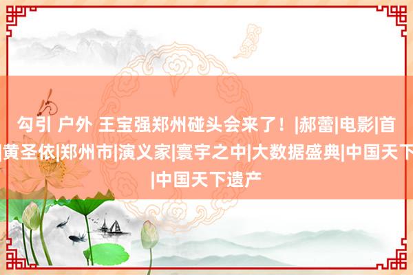 勾引 户外 王宝强郑州碰头会来了!|郝蕾|电影|首映礼|黄圣依|郑州市|演义家|寰宇之中|大数据盛典|中国天下遗产