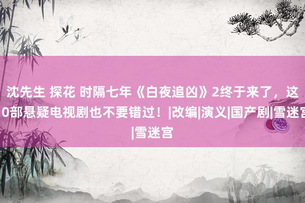沈先生 探花 时隔七年《白夜追凶》2终于来了，这10部悬疑电视剧也不要错过！|改编|演义|国产剧|雪