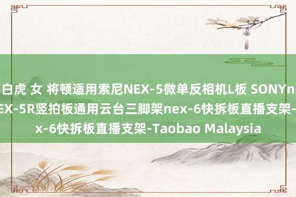 白虎 女 将顿适用索尼NEX-5微单反相机L板 SONYnex-5t L型快装板NEX-5R竖拍板通