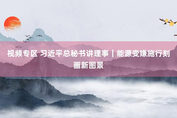 视频专区 习近平总秘书讲理事｜能源变嫌施行刻画新图景