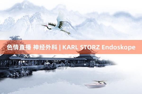 色情直播 神经外科 | KARL STORZ Endoskope
