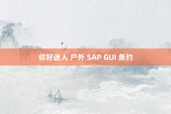 你好迷人 户外 SAP GUI 条约