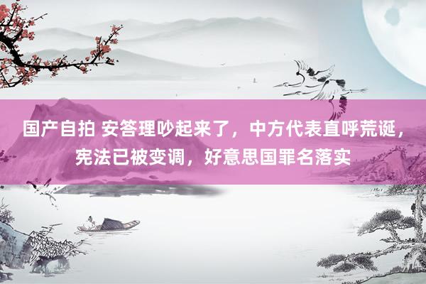 国产自拍 安答理吵起来了，中方代表直呼荒诞，宪法已被变调，好意思国罪名落实