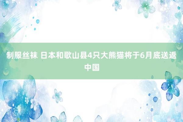 制服丝袜 日本和歌山县4只大熊猫将于6月底送返中国