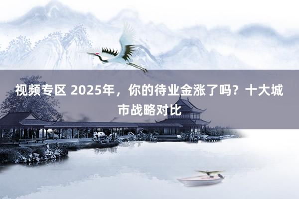 视频专区 2025年，你的待业金涨了吗？十大城市战略对比
