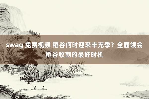 swag 免费视频 稻谷何时迎来丰充季？全面领会稻谷收割的最好时机