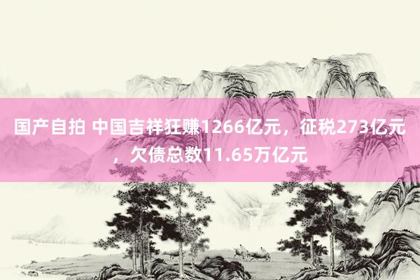 国产自拍 中国吉祥狂赚1266亿元，征税273亿元，欠债总数11.65万亿元
