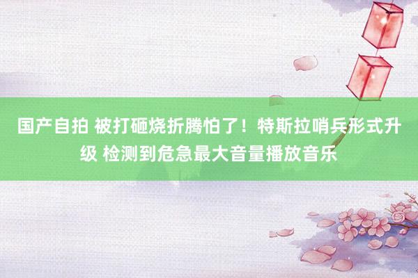 国产自拍 被打砸烧折腾怕了!特斯拉哨兵形式升级 检测到危急最大音量播放音乐