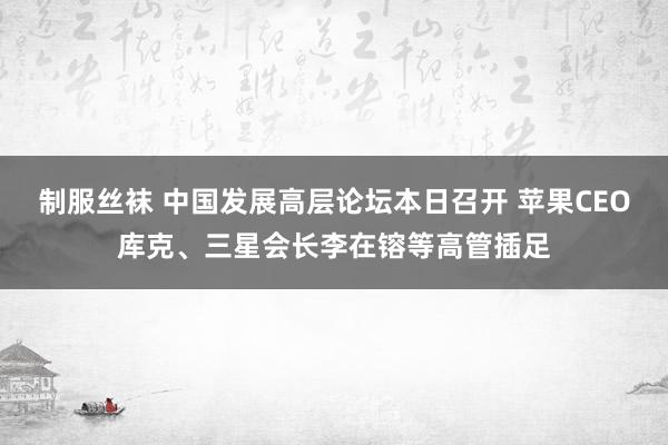 制服丝袜 中国发展高层论坛本日召开 苹果CEO库克、三星会长李在镕等高管插足